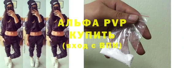 индика Лихославль