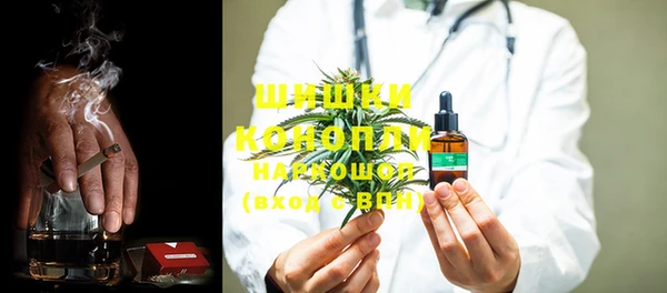 индика Лихославль