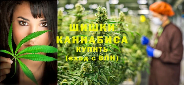 индика Лихославль