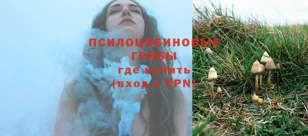 индика Лихославль