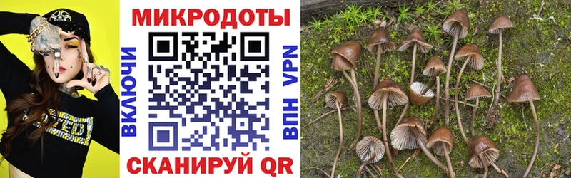 МЕГА как зайти Микунь Псилоцибиновые грибы GOLDEN TEACHER